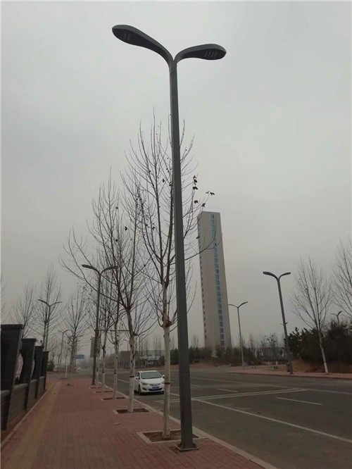 太阳能路灯