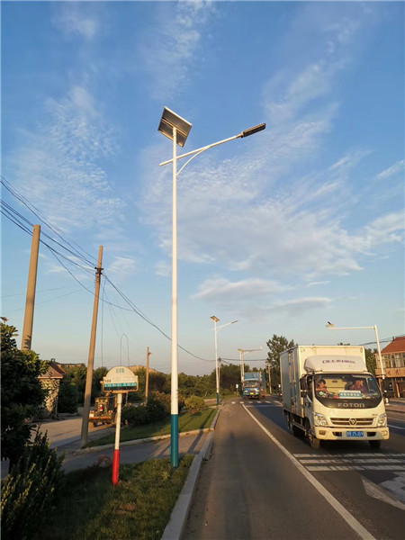 山东路灯厂家