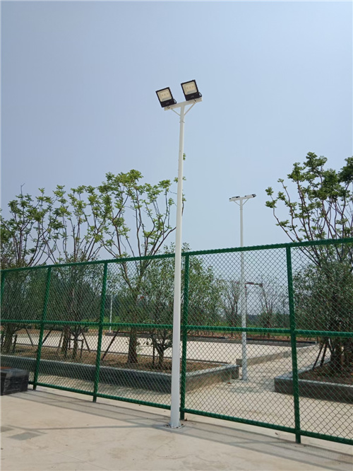 临沂路灯厂家直销批发
