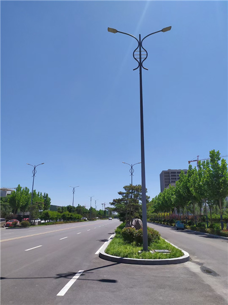 山东临沂路灯厂家