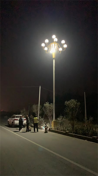 LED路灯销售