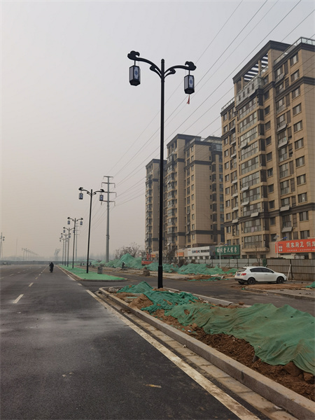 山东路灯厂家供应