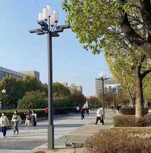 中华景观灯