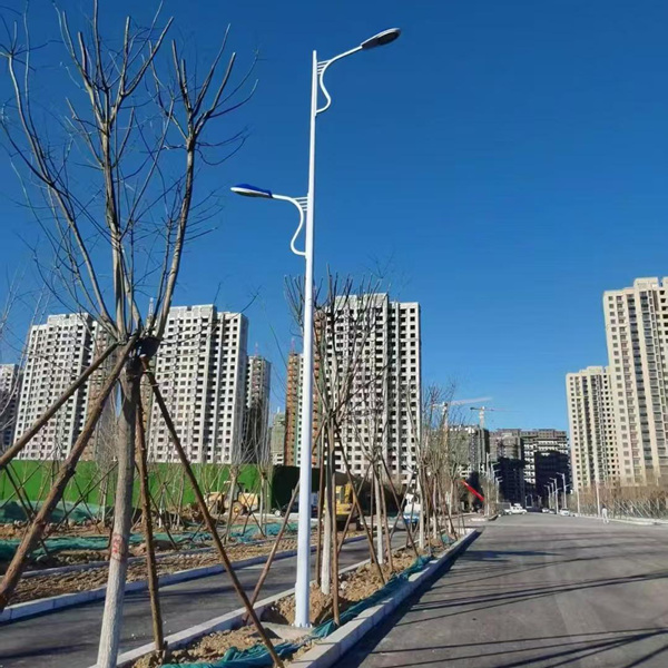 山东道路灯厂家